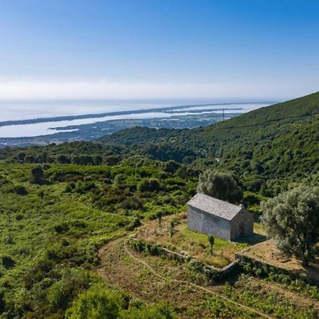 Appartement Neuf Entre Mer Et Montagne. Furiani Exteriör bild