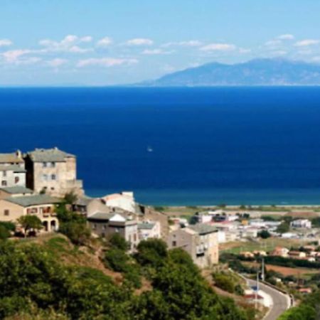 Appartement Neuf Entre Mer Et Montagne. Furiani Exteriör bild